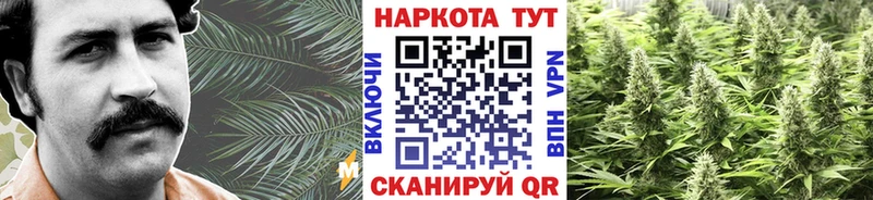 Купить наркотики сайты Пущино Бошки Шишки  Гашиш 
