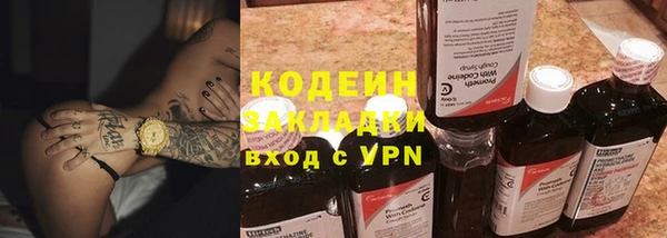 прущие грибы Каменка
