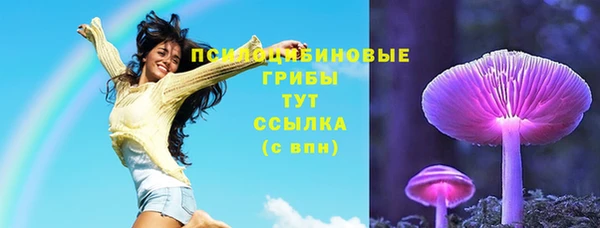 не бодяженный Каменногорск